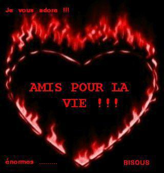 ami pr la vi!.!